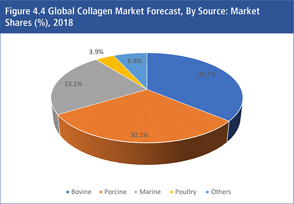 Collagen Market Forecast 2019-2029