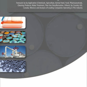 North America Sodium Bicarbonate Market Report 2020-2030