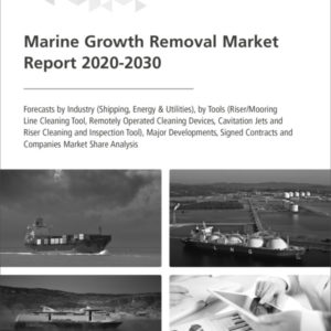 Marine Growth Removal Market Report 2020-2030