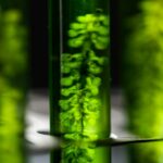 Artificial Photosynthesis Market Report 2024-2034